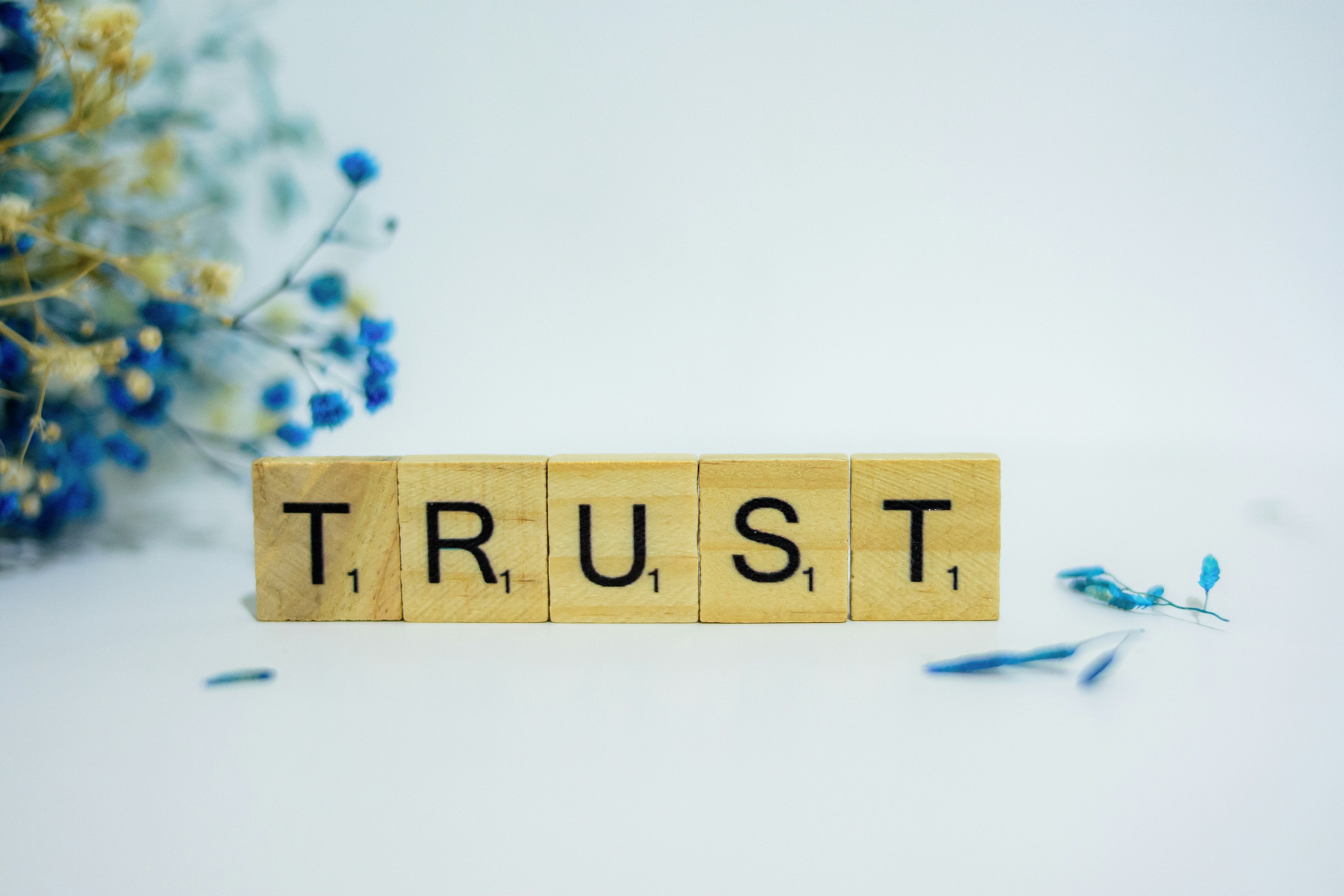 The Role of Trust in Intimate Wellness