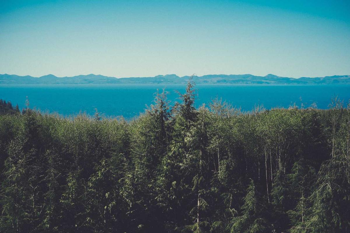 How Calm Environments Affect Mood