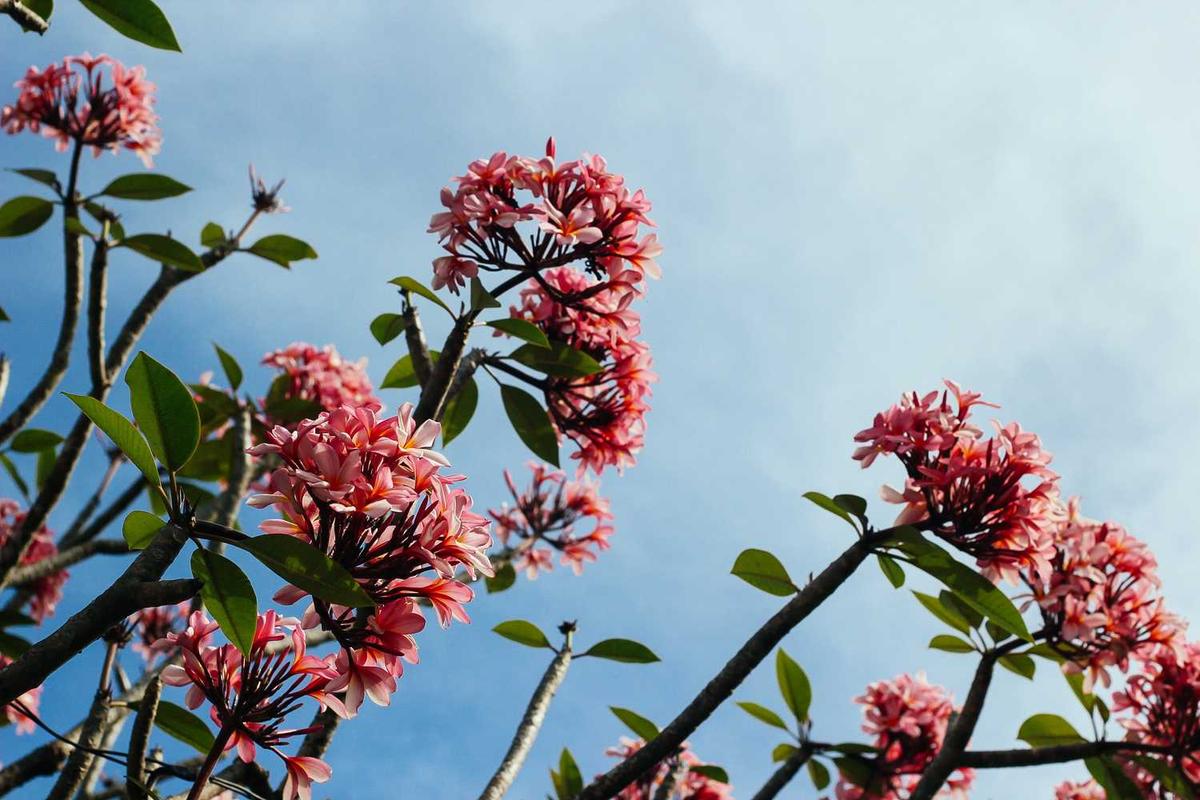 How to Choose Minimalist Wellness Tools