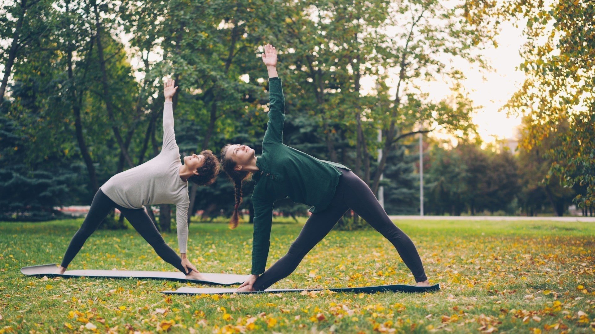 Top 7 Wellness Ideas That Help Couples Reconnect - Pleasura