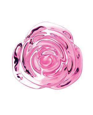 b - Vibe Pink Roses Training Set - Pleasura